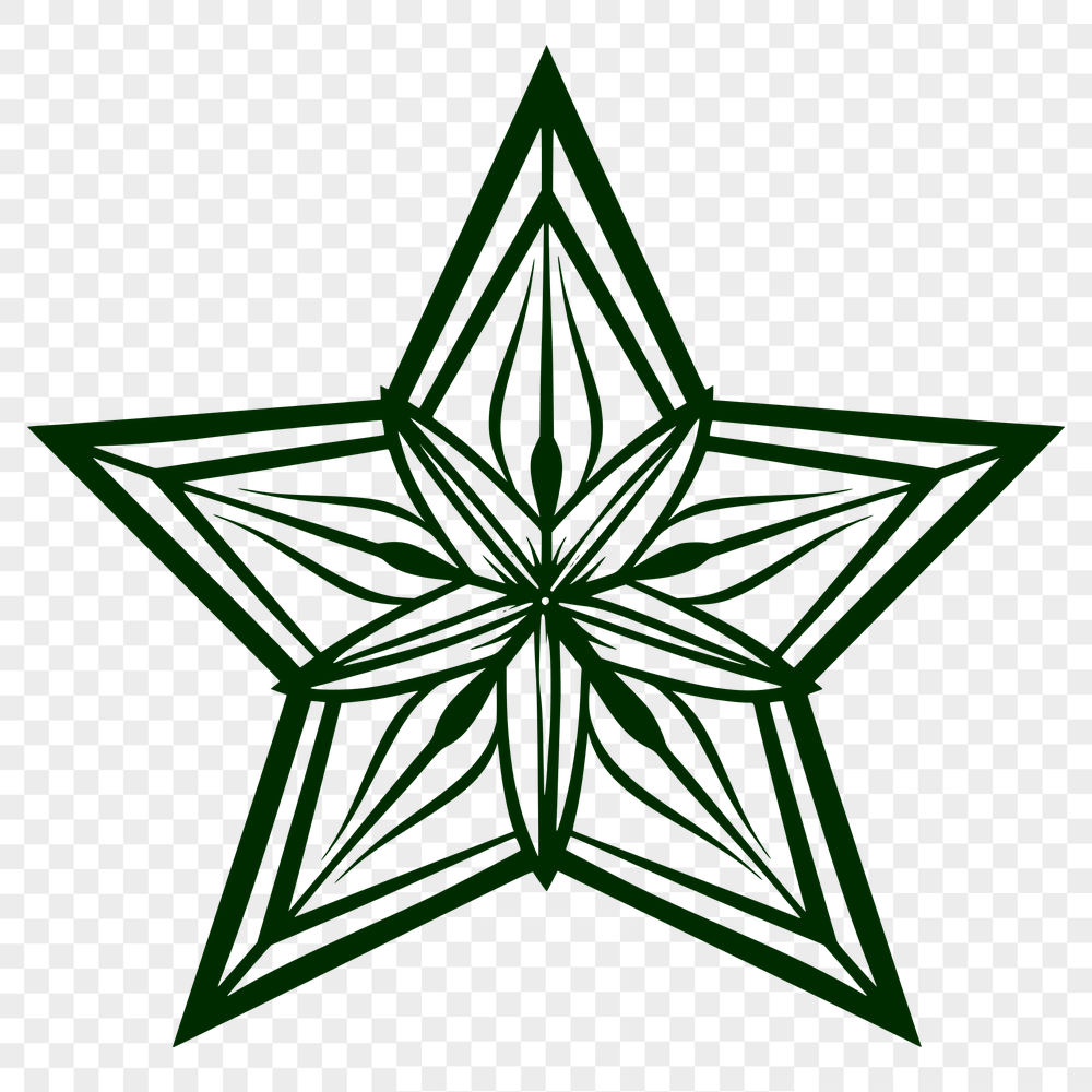 Unique Star SVG - For Procreate Project