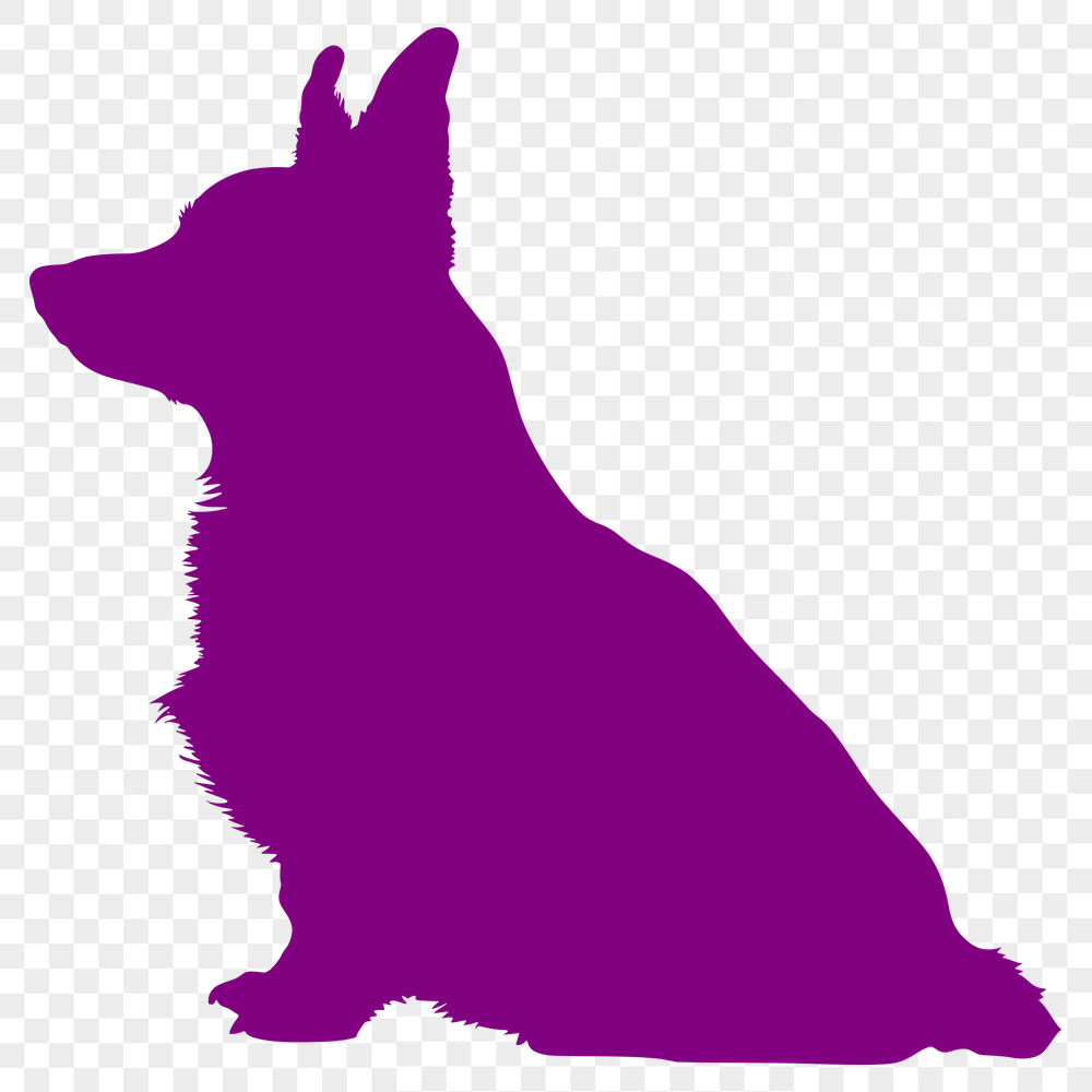 Free Beautiful Welsh Corgi Vector Craft File