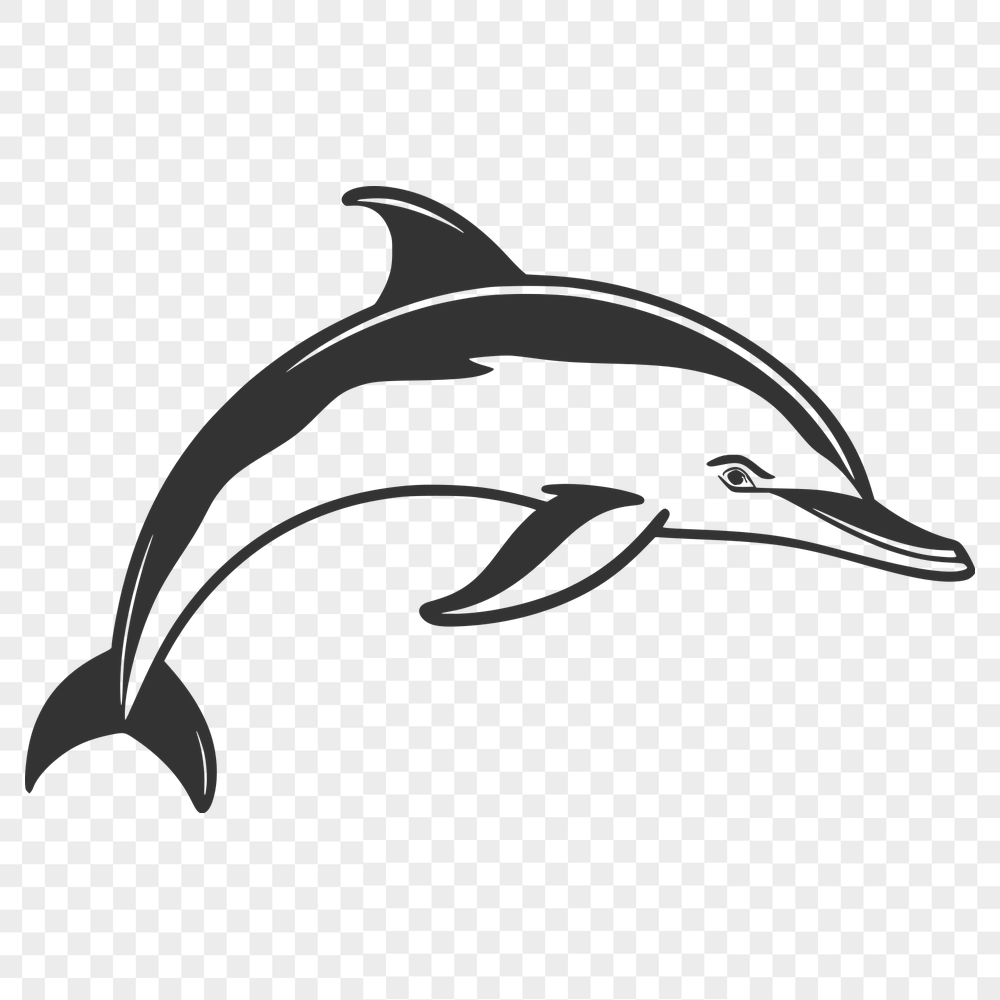 Creative Dolphin SVG