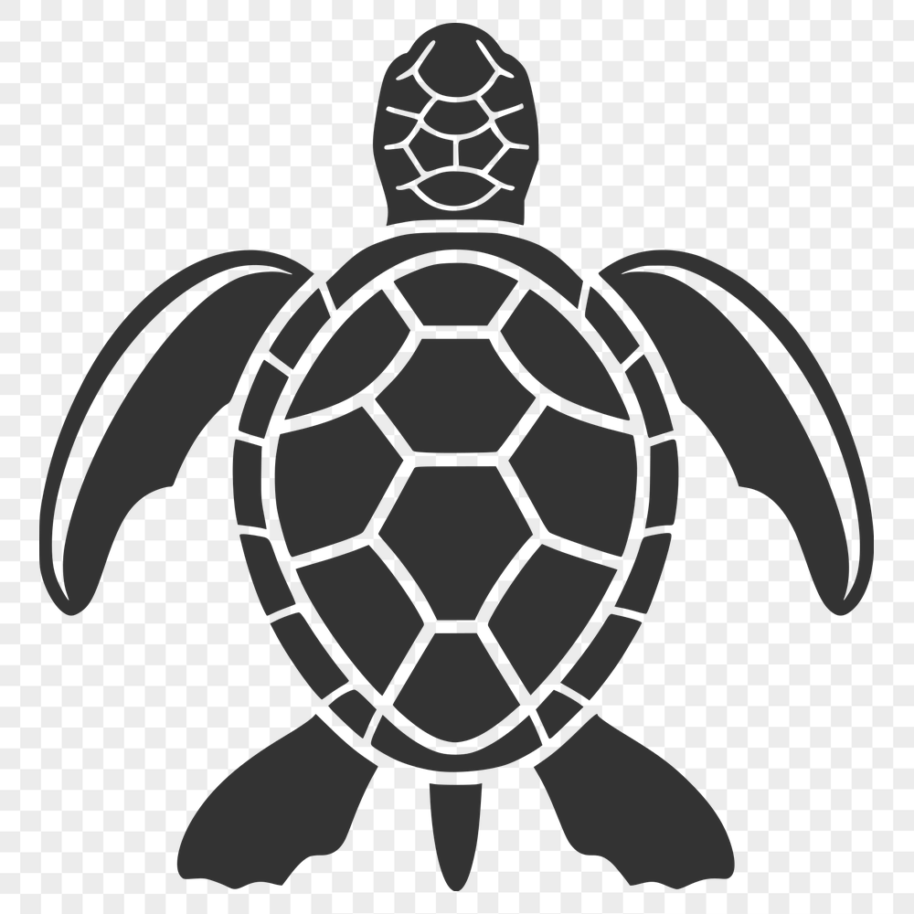 Free Creative Sea Turtle Illustration