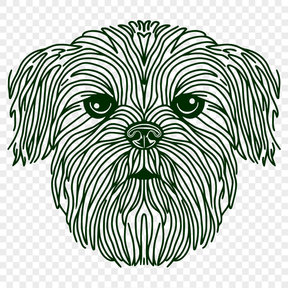 Free Unique Shih Tzu Illustration