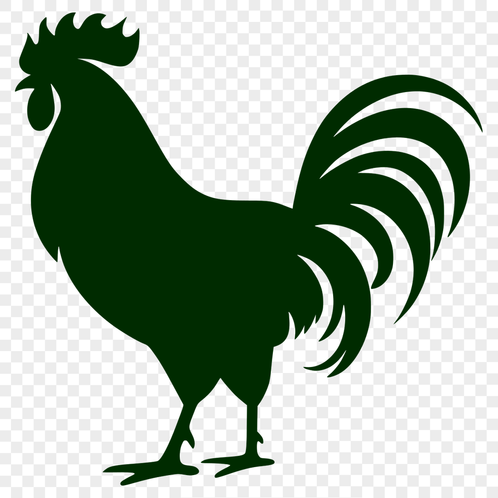 Unique Cockerel Vector Drawing