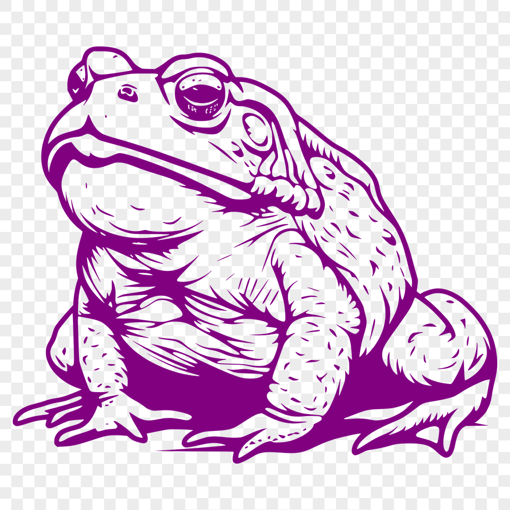 Free Unique Toad Design