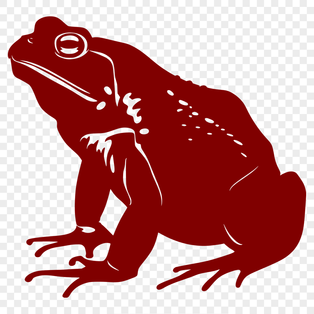 Free Toad In PNG