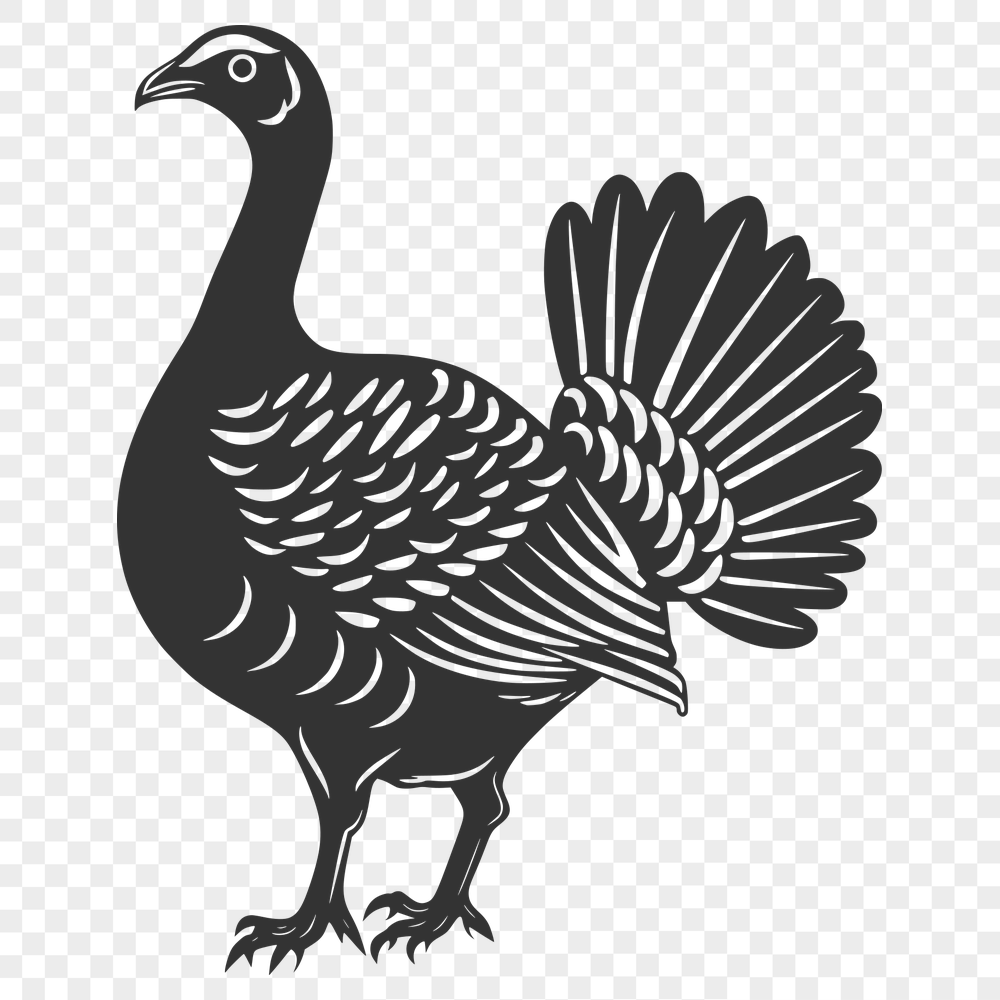 Artistic Turkey Vector Art