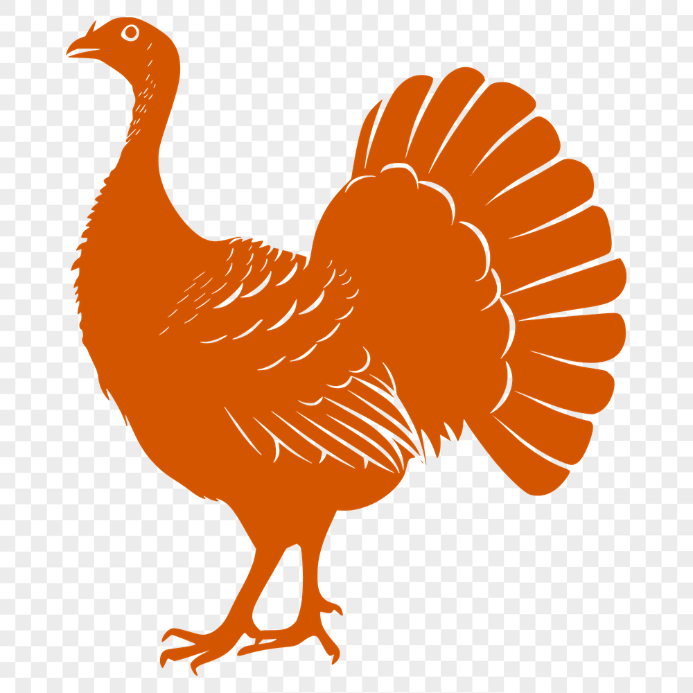 Free Turkey Illustration