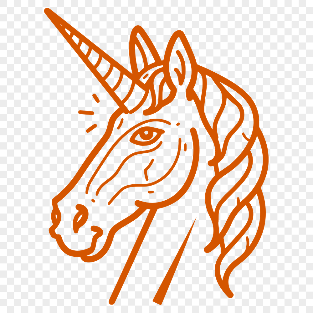 Unique Unicorn Digital Drawing