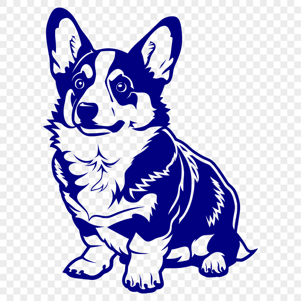 Free Beautiful Welsh Corgi Image