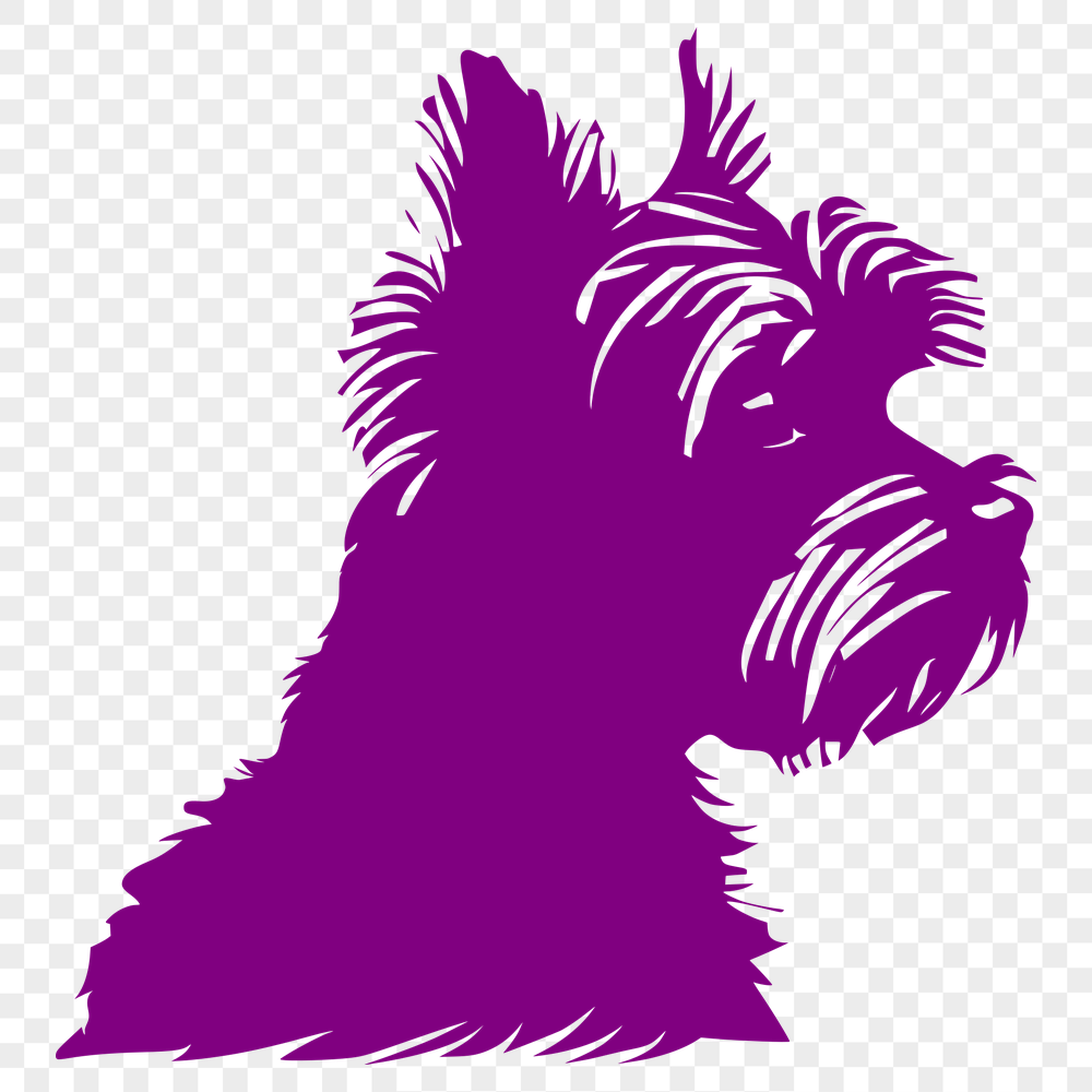 Beautiful Yorkshire Terrier - For Laser Cutter Project