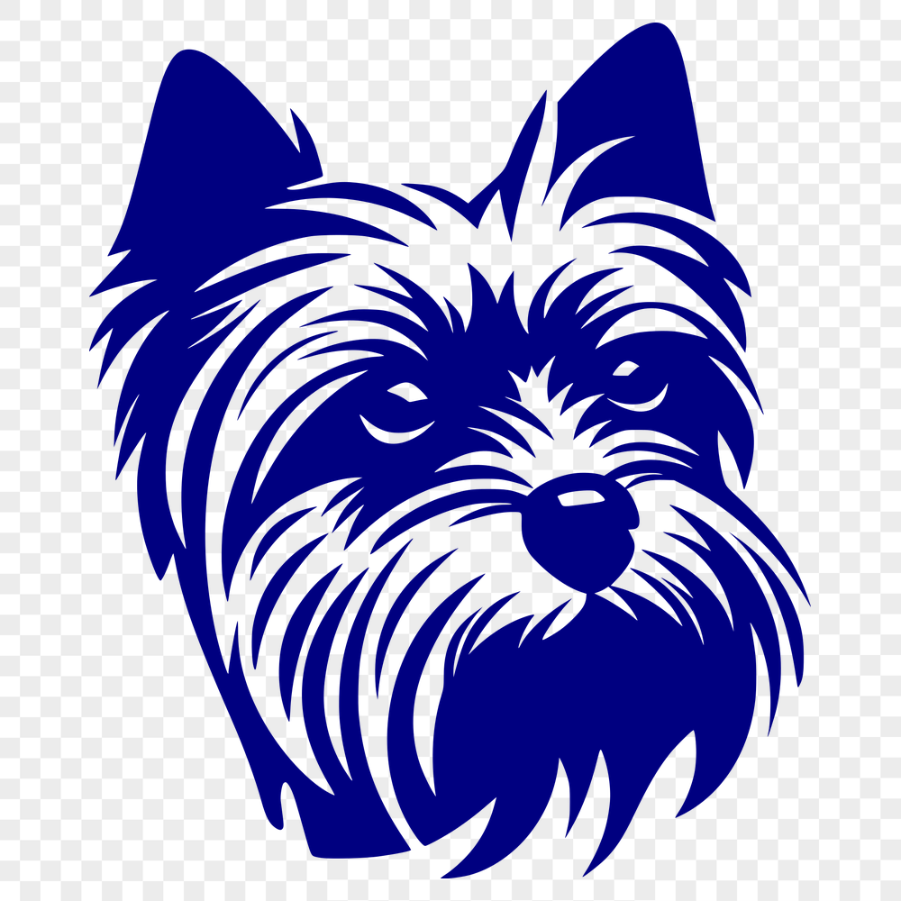 Unique Yorkshire Terrier - For Pet Project