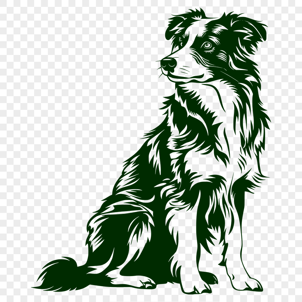 Artistic Sitting Australian Shepherd Vector Drawing