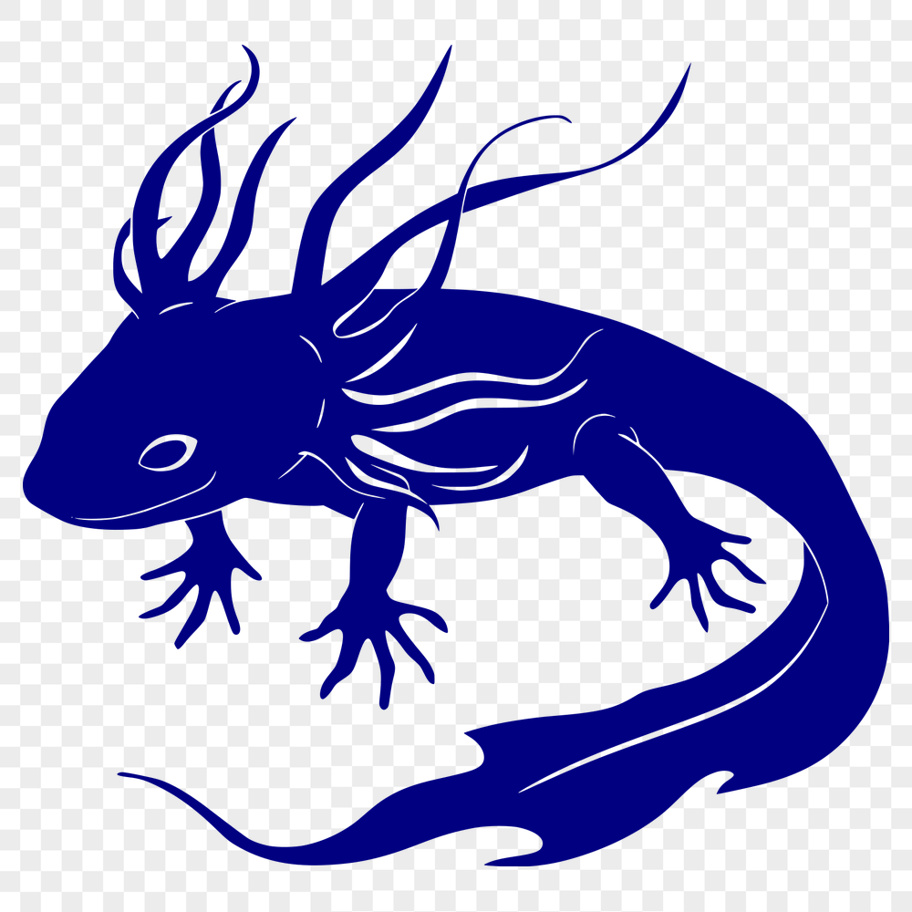 Artistic Axolotl Drawing