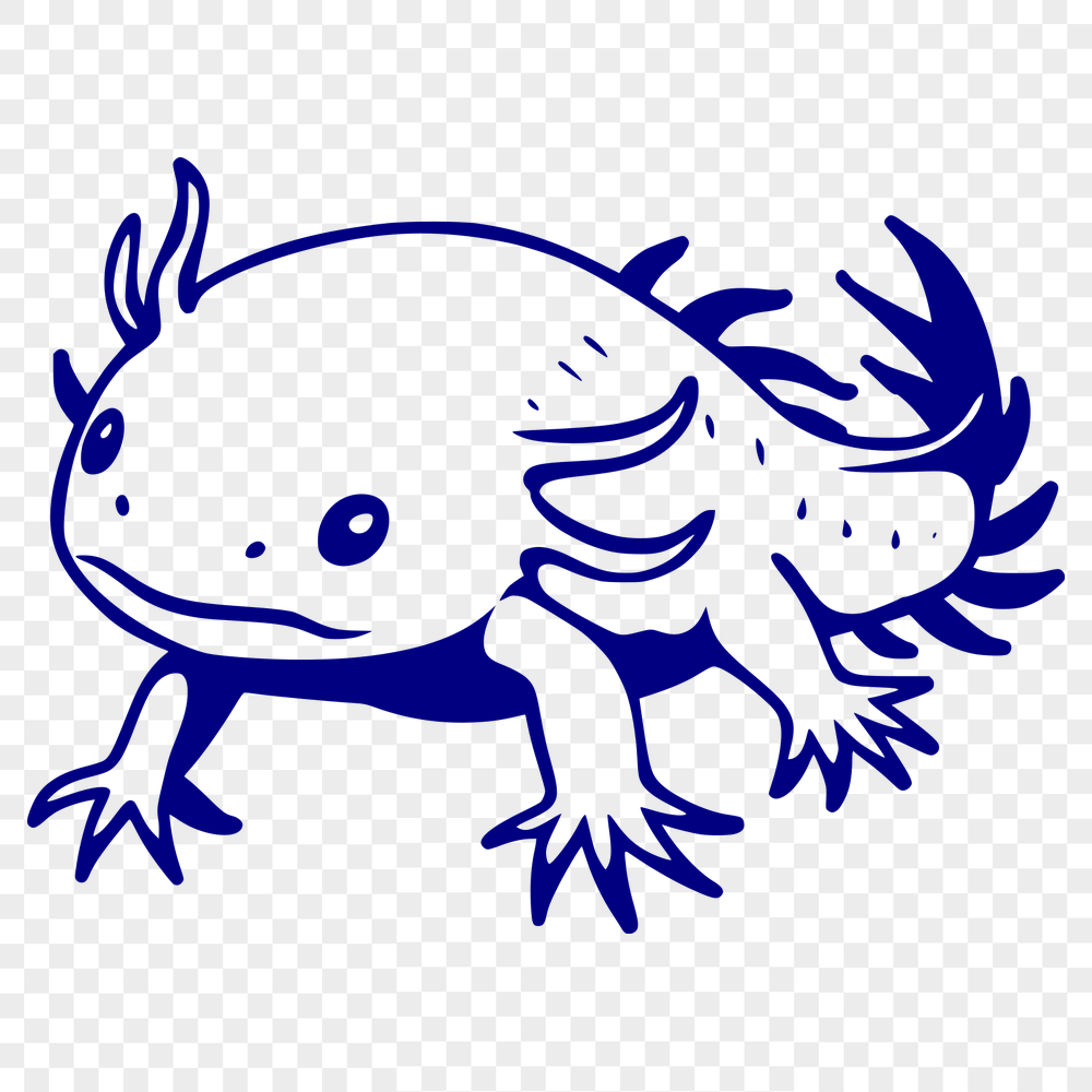 Creative Axolotl Artwork