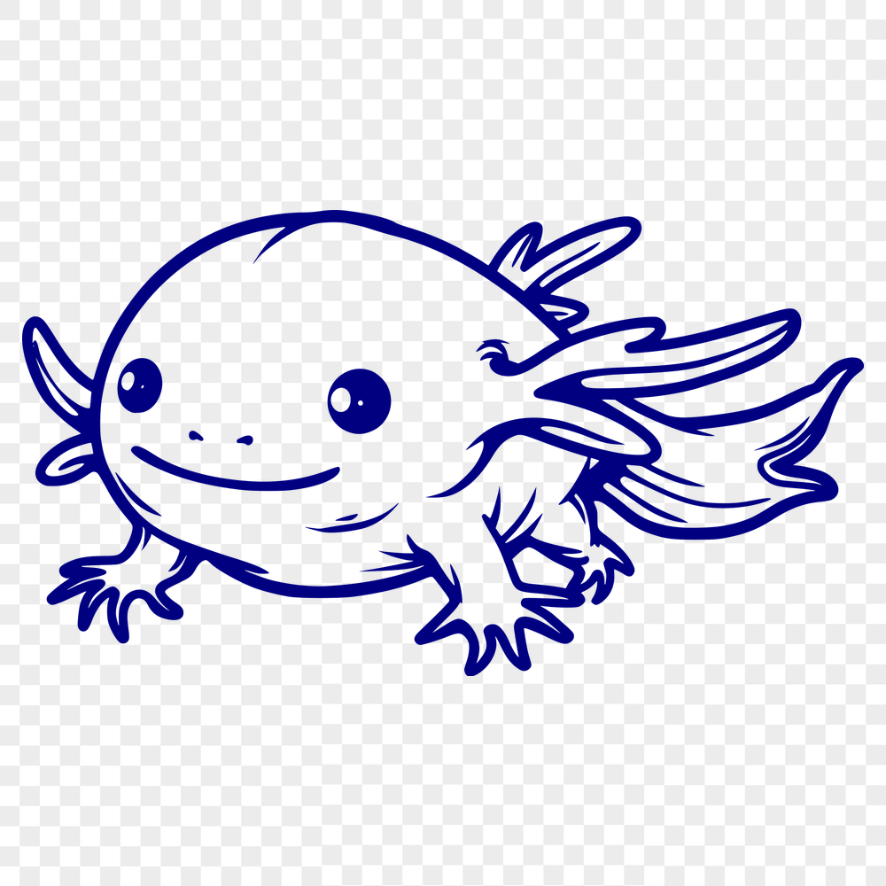 Free Beautiful Axolotl Simple Line Drawing