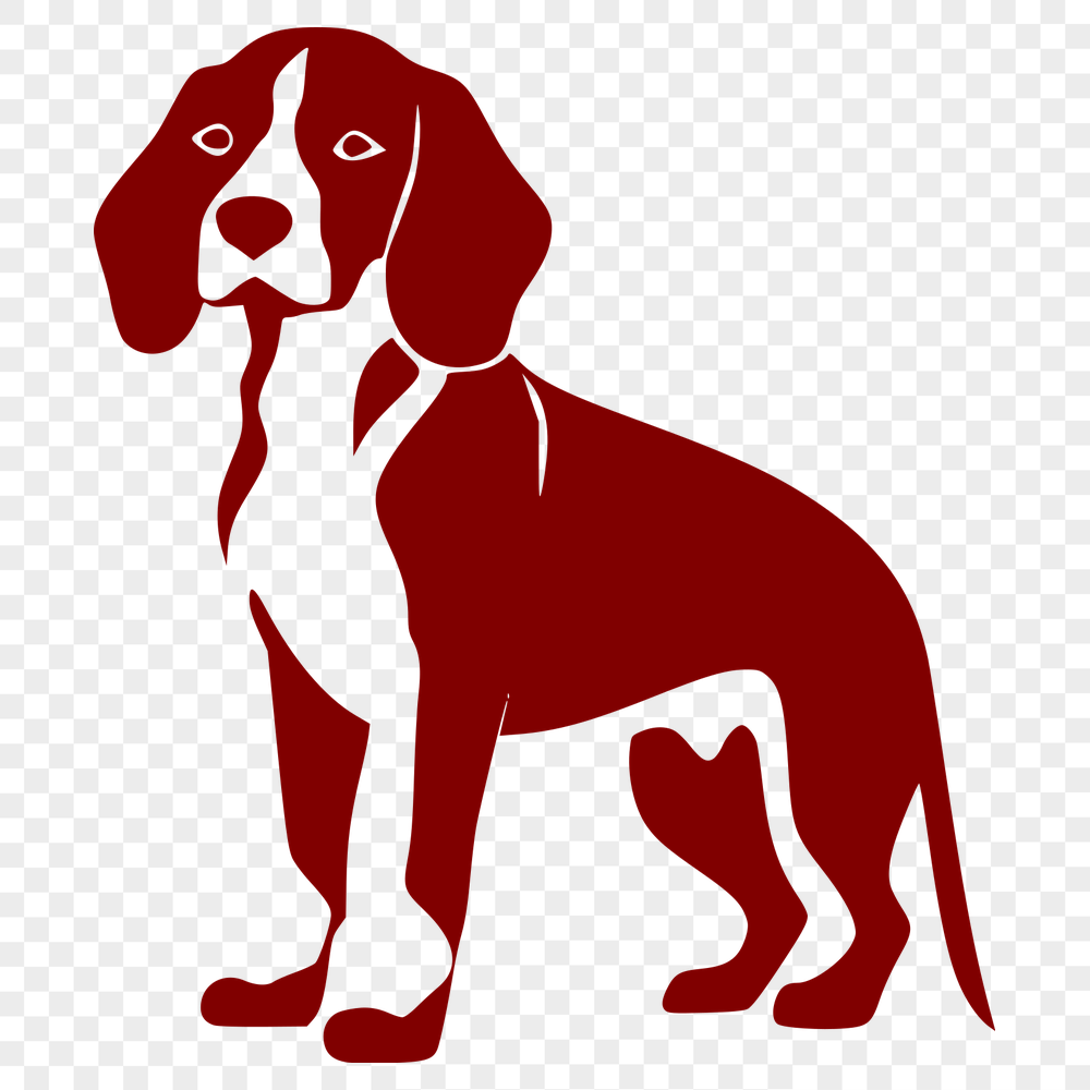 Free Standing Beagle PNG