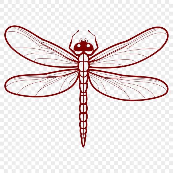Detailed Dragonfly Illustration A detailed vector illustration of a dragonfly in flight, suitable for use with cutting machines or laser cutters.