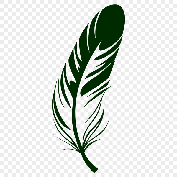 Free Delicate Feather Design SVG File A single feather with smooth curves and delicate texture, suitable for vector designs in Illustrator or Procreate.