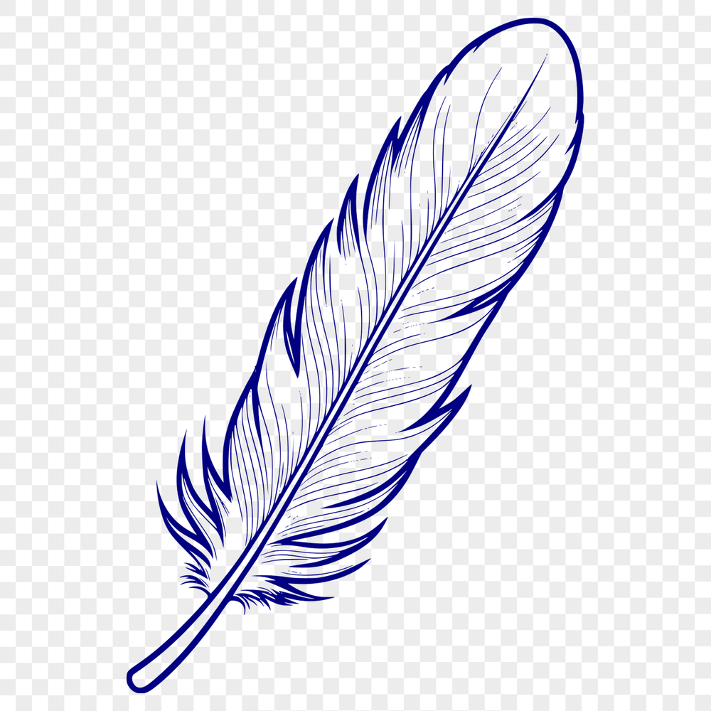 Beautiful Hand-Drawn Feather SVG Graphic A detailed vector illustration of a single bird feather with subtle shading and texture.
