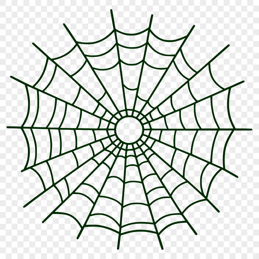 Delicate Intricate Web Design A digital illustration of a delicate spider web made up of intricate lines and shapes.