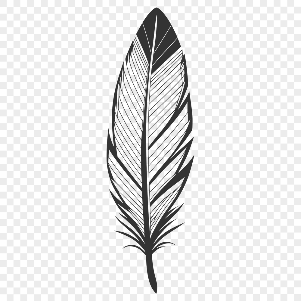 Vector Feather Clip Art Design A simple, scalable vector graphic illustration of a feather in various shapes and forms.