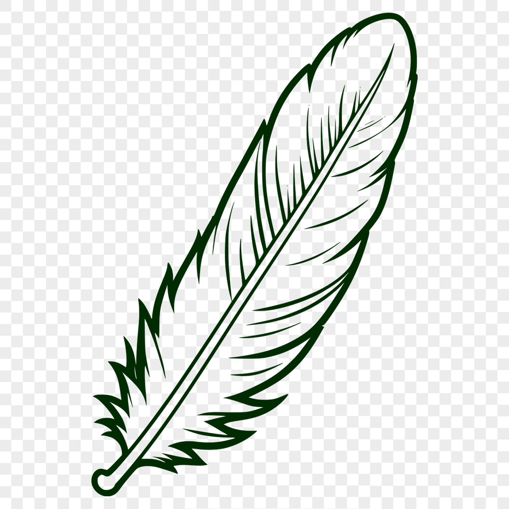 Beautiful Feather Clip Art Vector Graphic A detailed, scalable feather vector graphic.