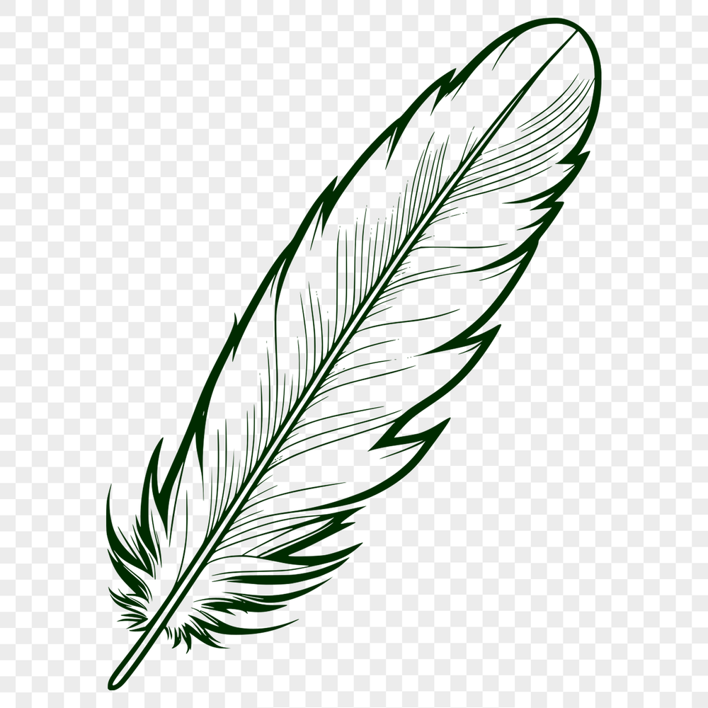 Stunning Feather Illustration Design An intricately designed feather graphic suitable for digital cutting machines and laser engraving.