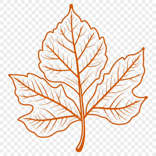 Hand-Drawn Leaf Silhouette Design An intricate, hand-drawn design featuring a stylized leaf silhouette for use in graphic design projects.