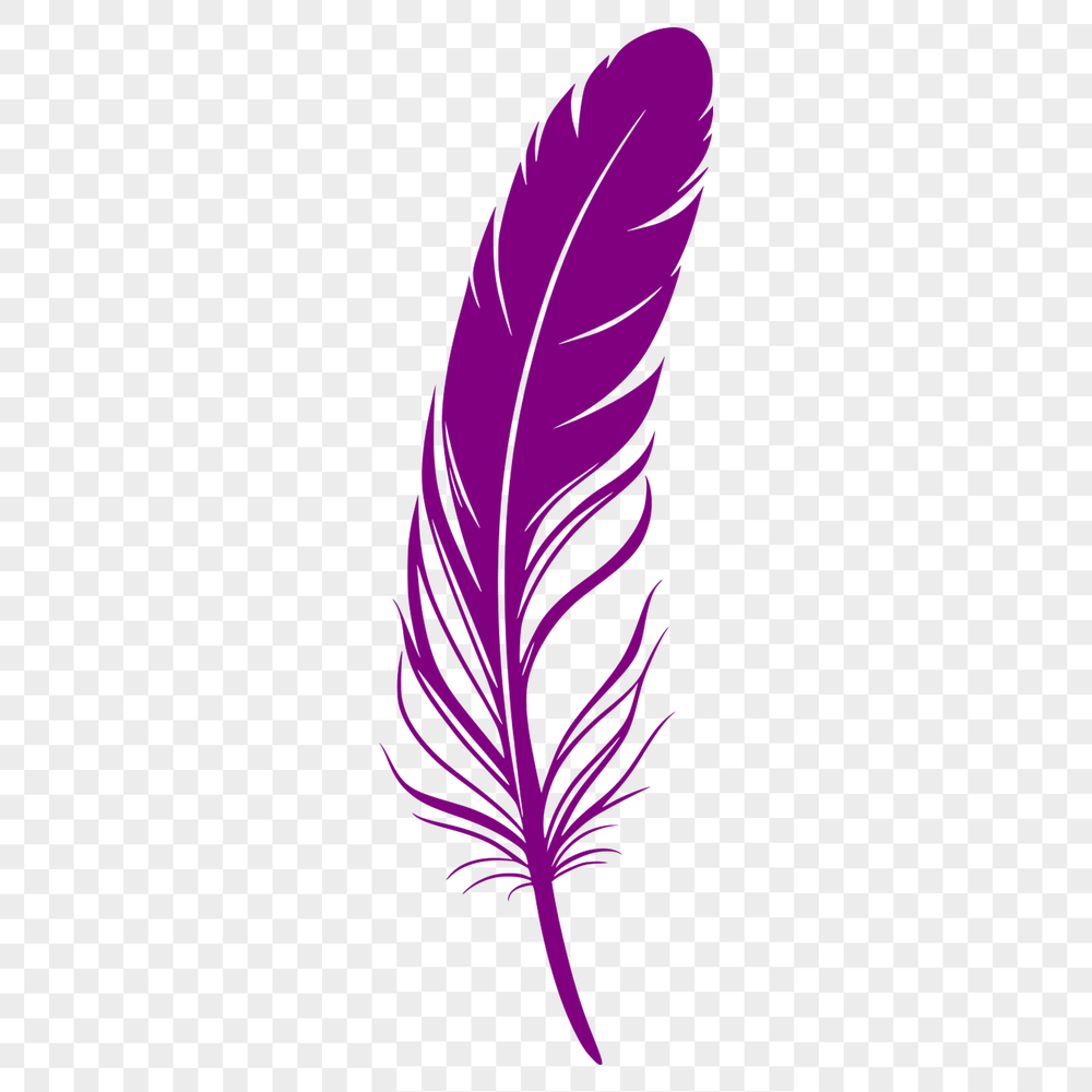 Delicate Bird Feather Illustration A stylized illustration of a single bird's feather, suitable for use in vector graphics and digital design.