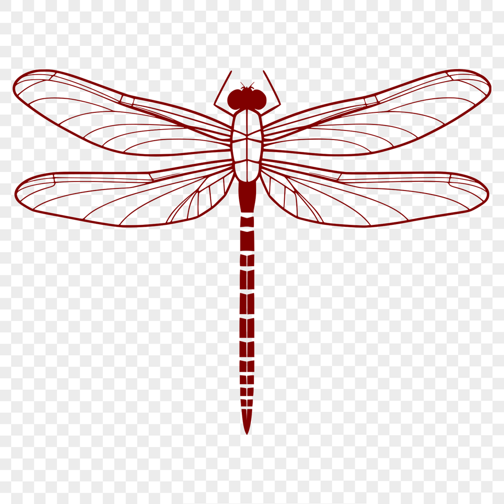 Vibrant Mid-Fly Dragonfly Illustration A colorful illustration of a dragonfly in mid-flight, suitable for vector graphics.