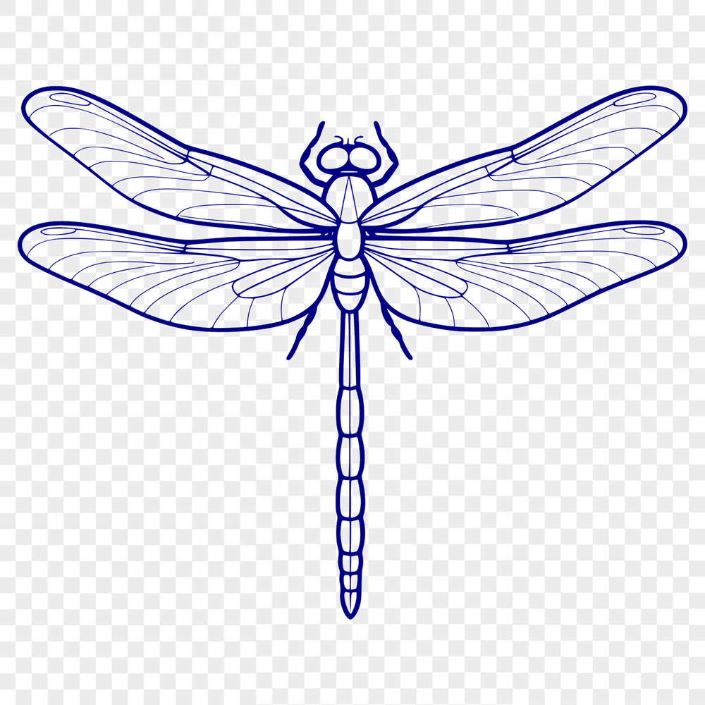 Vibrant Mid-Flyer Insect Illustration A colorful illustration of a dragonfly in mid-flight.