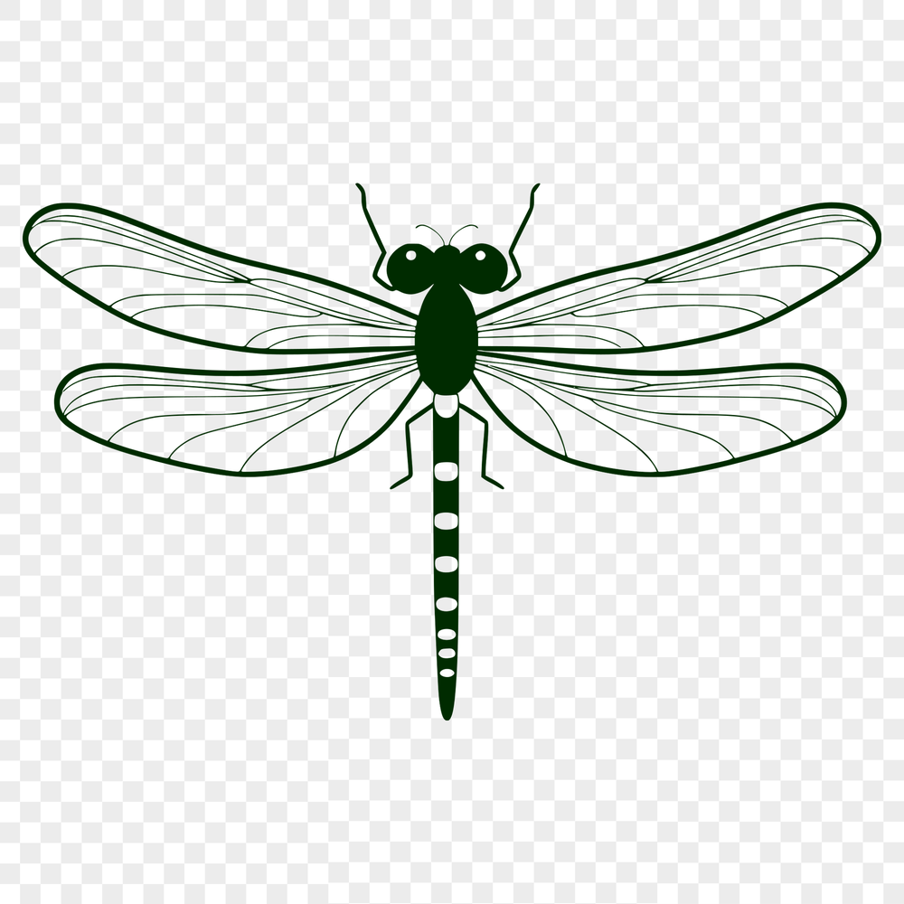 Colorful Insect Illustration in Vector Format A colorful illustration of a dragonfly in vector format