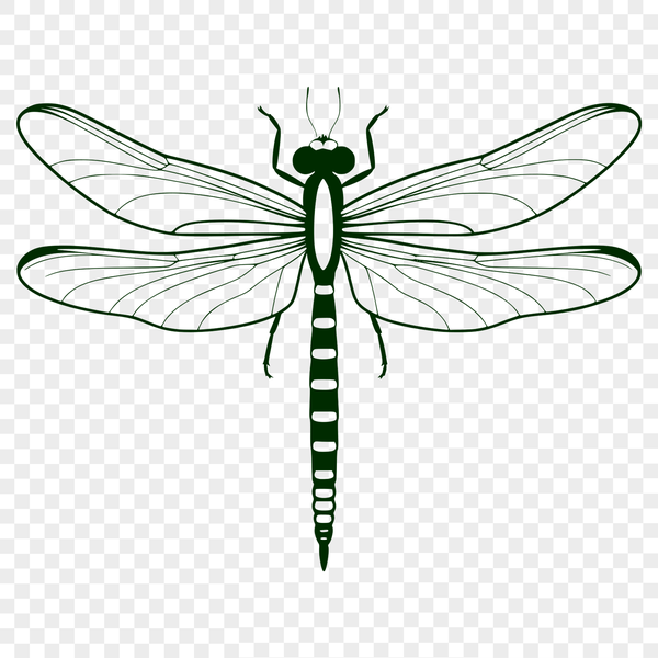 Free Vector Dragonfly Clip Art A detailed digital representation of a dragonfly, suitable for cutting or engraving.