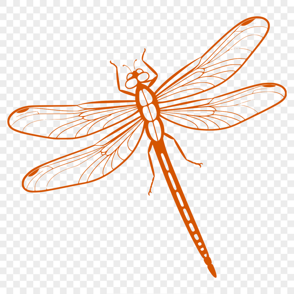 Free Dragonfly SVG File Download Dragonfly insect illustration in vector format