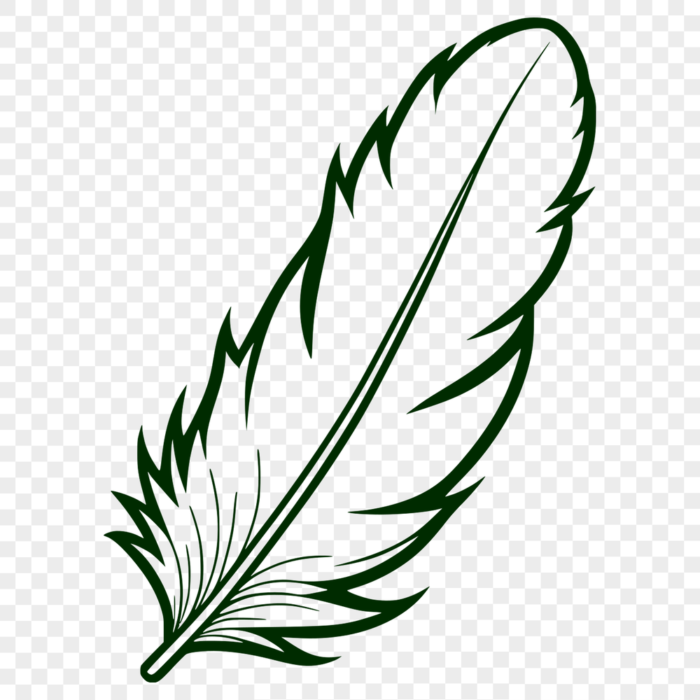 Beautiful Vector Feather Design A delicate illustration of a feather in vector format, suitable for digital and craft applications.
