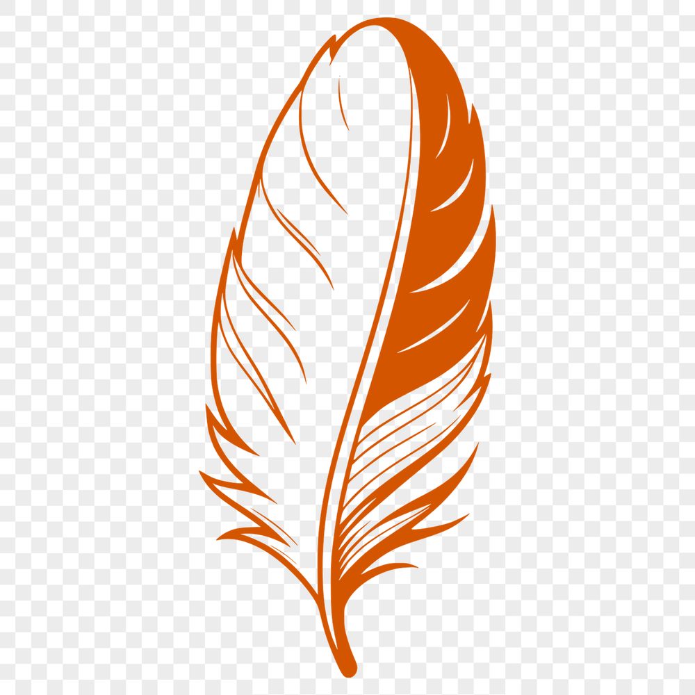 Single White Feather Illustration A detailed illustration of a single white feather with intricate details.
