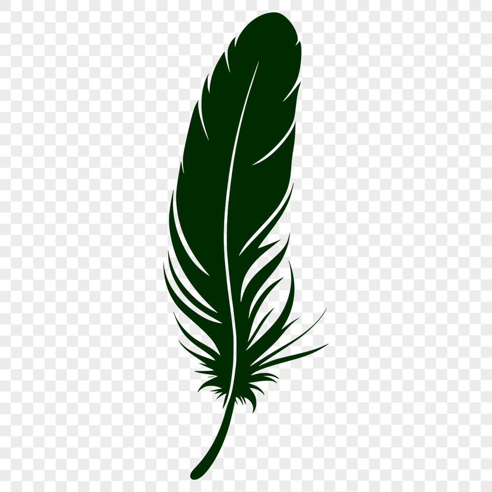 Single Feather Graphic Illustration A single feather graphic designed as a scalable SVG file.