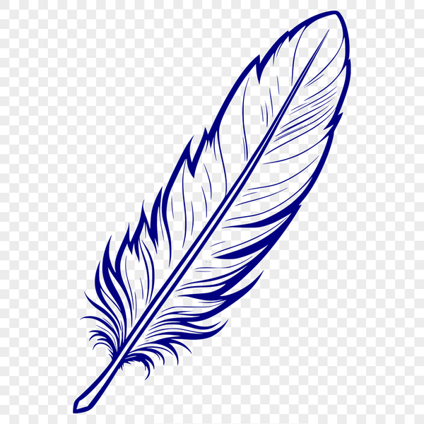Beautiful Feathers Clip Art A high-quality illustration of a single feather with detailed texture and pattern.