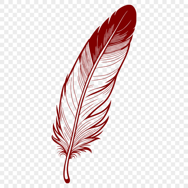 Geometric Feather Design A simple design element featuring the outline of a bird's feather with clean lines and geometric shapes.