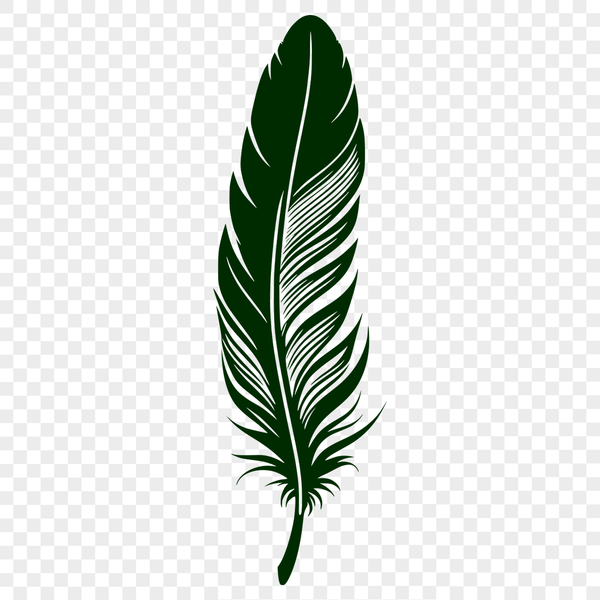 Bird Feather Illustration A single bird feather illustration in vector format, suitable for graphic design and digital crafting.