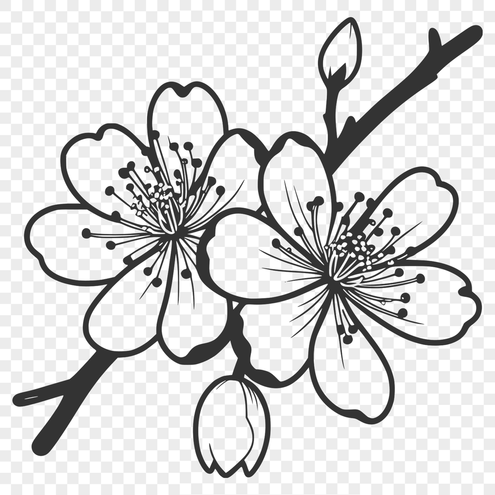 Free SVG Clip Art Design - Cherry Blossom A detailed illustration of a single cherry blossom flower in full bloom.
