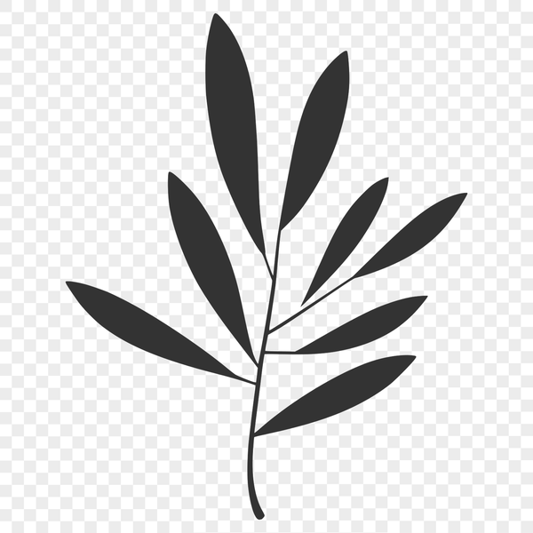 Free Vector Leaf Illustration A detailed illustration of a single leaf with intricate lines and veins.