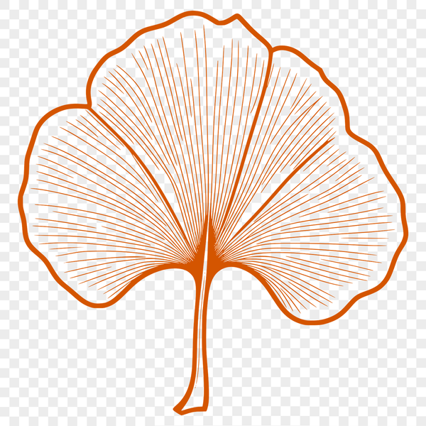 A simple vector illustration of a single leaf with stylized details and smooth edges.