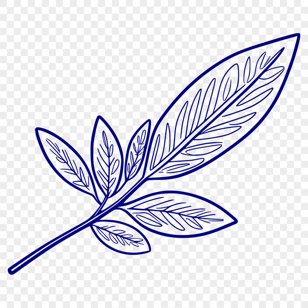A vector graphic representation of a simple leaf shape with clean lines and curves.