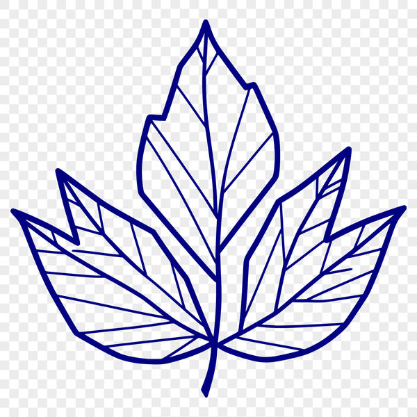 Detailed Leaf Vector Art A single, detailed leaf with veins and edges.