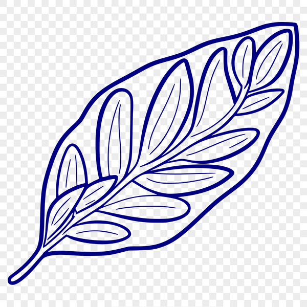 Single Leaf SVG Icon An illustration of a single leaf with detailed shape and texture, suitable for digital design projects.