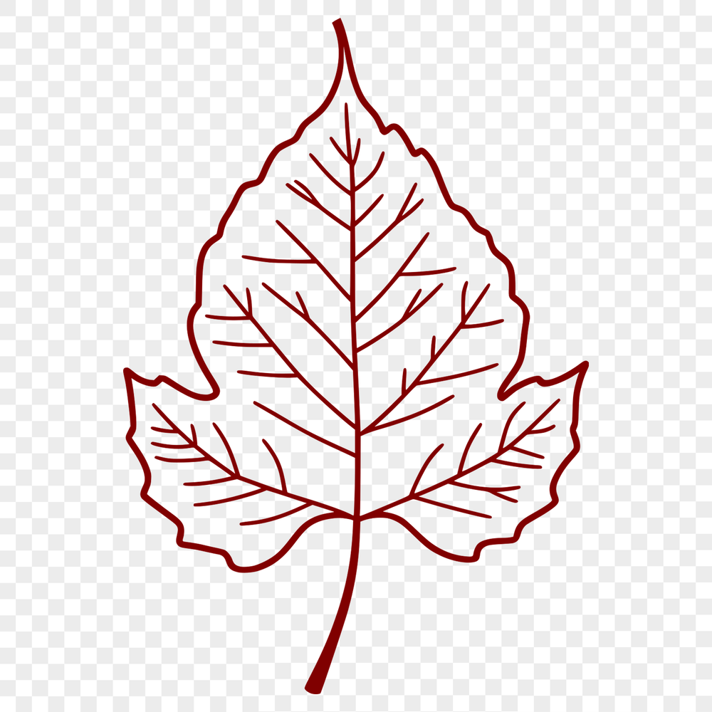 An isolated illustration of a leaf in vector format.