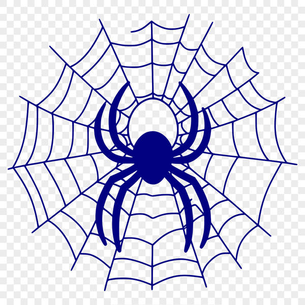 An intricate design of a spider web created as a scalable SVG graphic.