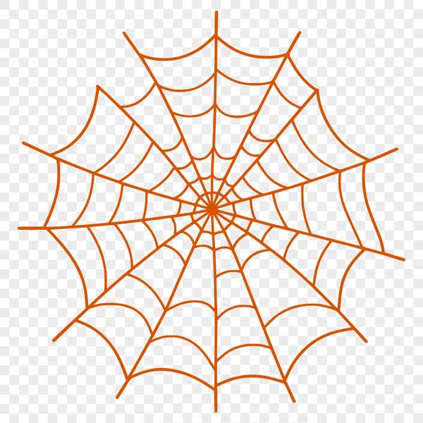 Illustrative representation of a spider web with intricate patterns and lines.