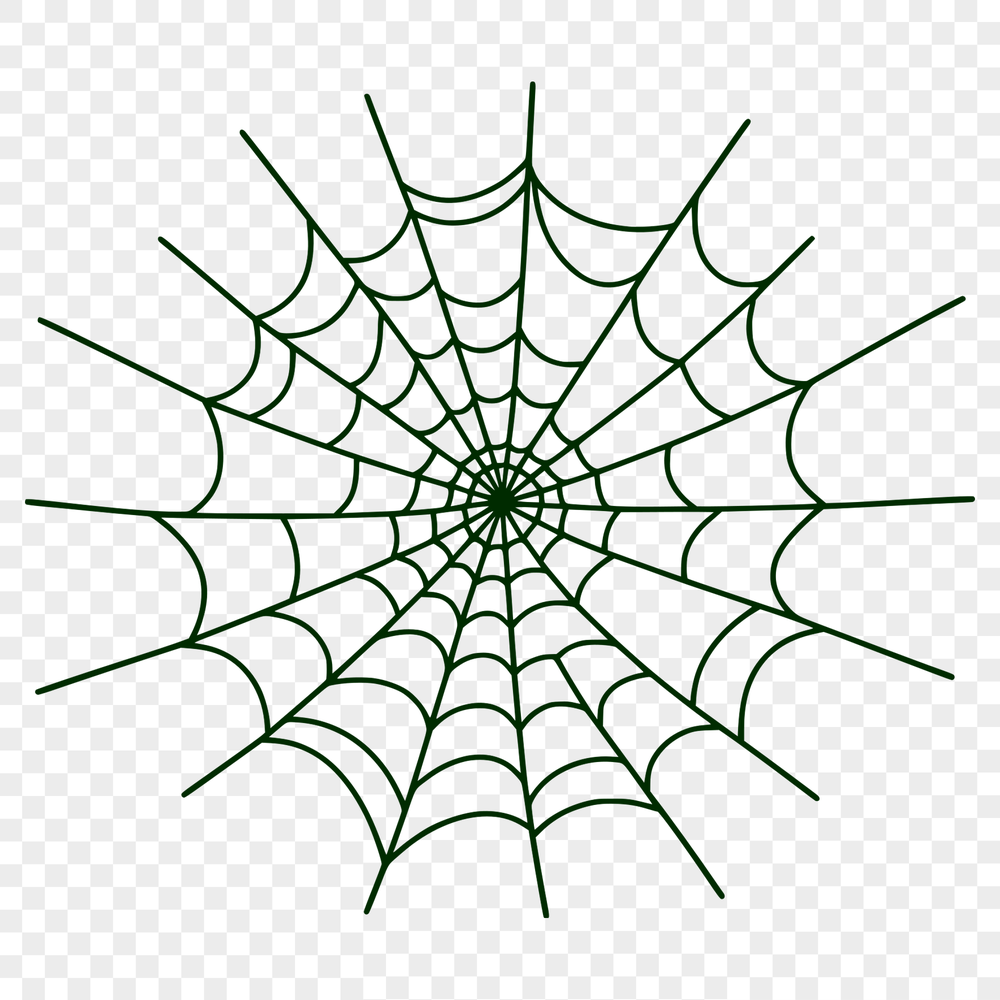 A detailed vector illustration of a spider web in high resolution, suitable for digital design projects.