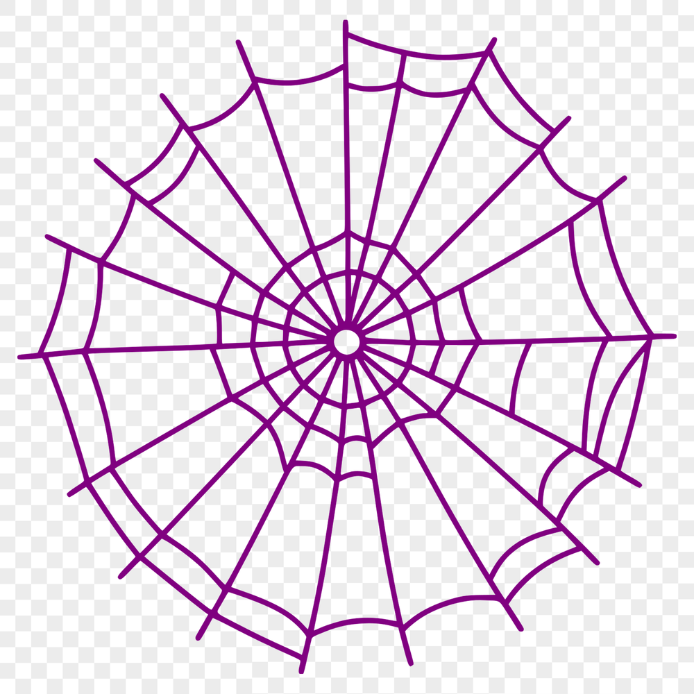 A delicate SVG illustration of a spider web, suitable for vector graphics and digital design projects.